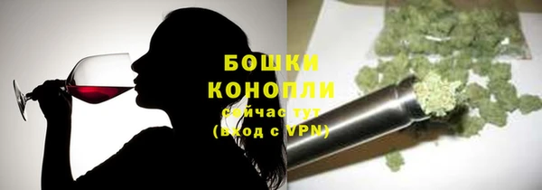 mdpv Богородицк