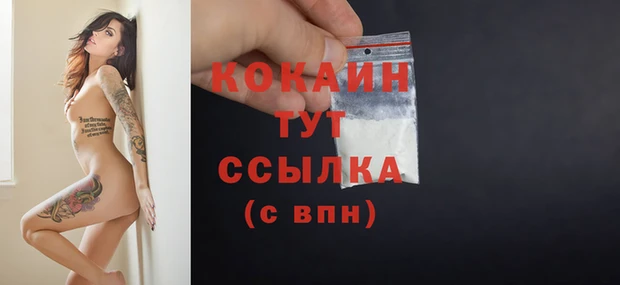 mdpv Богородицк