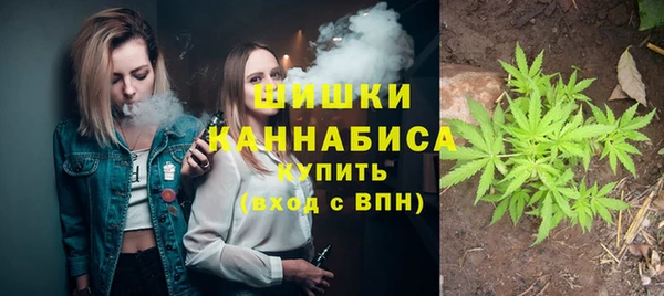 mdpv Богородицк